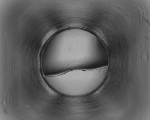 X0000097751082200803070837
