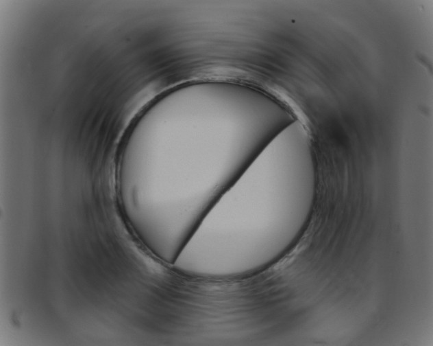 X0000097751083200803070837