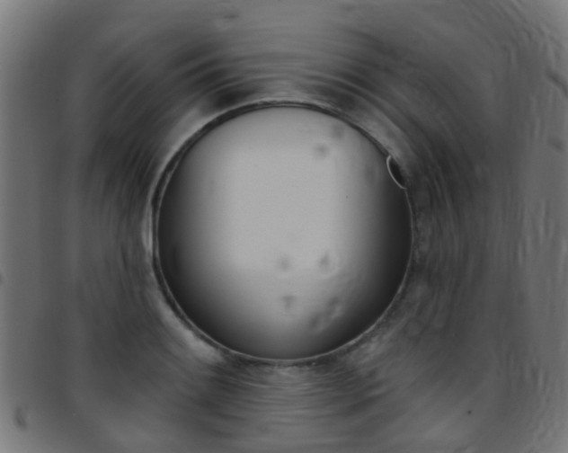 X0000097751084200803070837