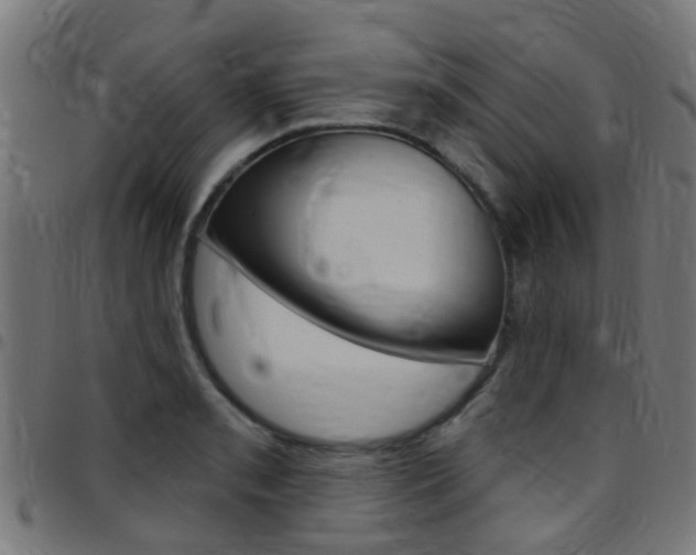 X0000097751085200803070837