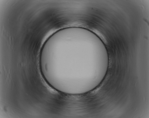X0000097751086200803070837