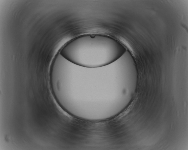 X0000097751087200803070837