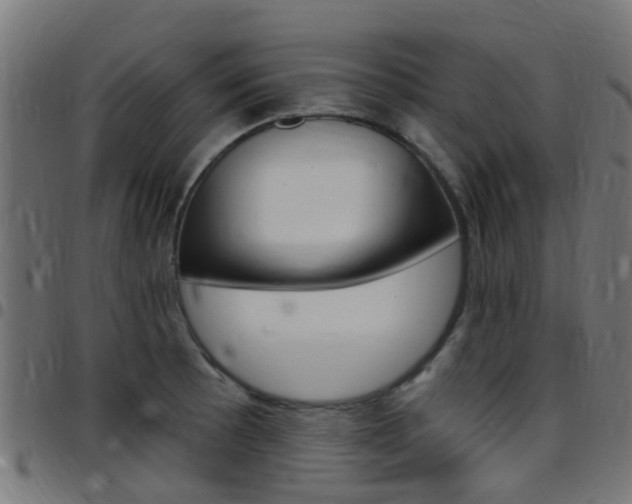 X0000097751089200803070836