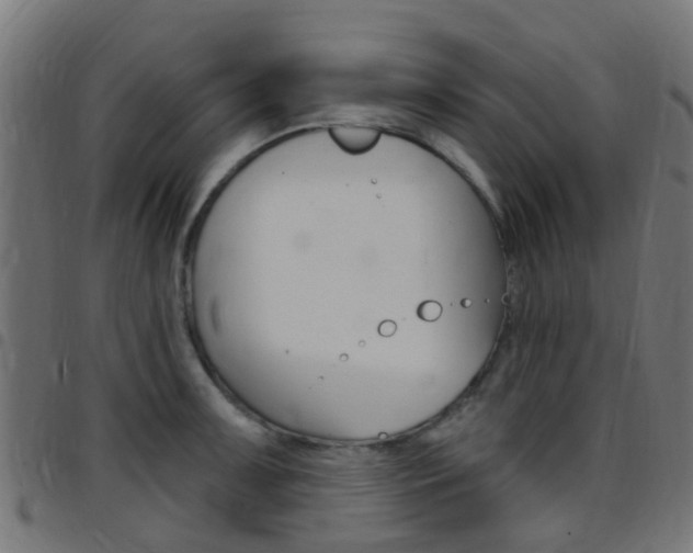 X0000097751091200803070836