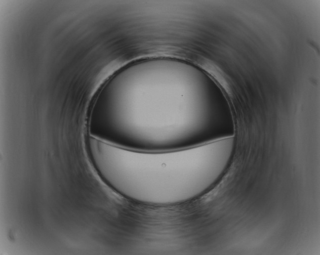 X0000097751093200803070836