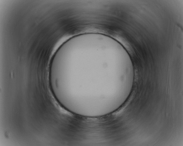 X0000097751094200803070836