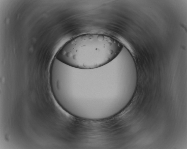 X0000097751095200803070836
