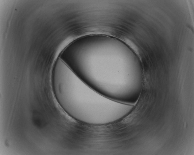 X0000097751096200803070836