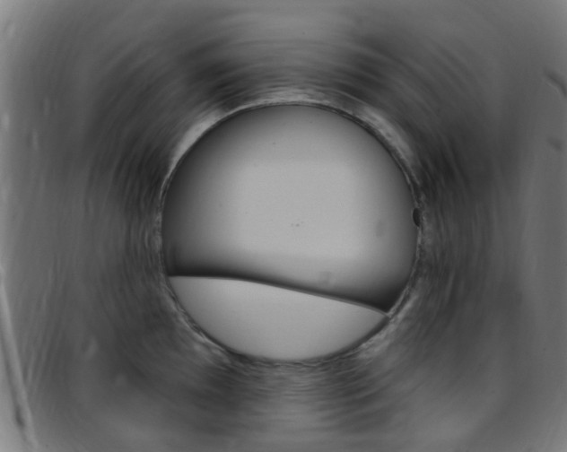 X0000097751097200803070836