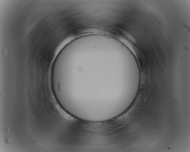 X0000097751098200803070836