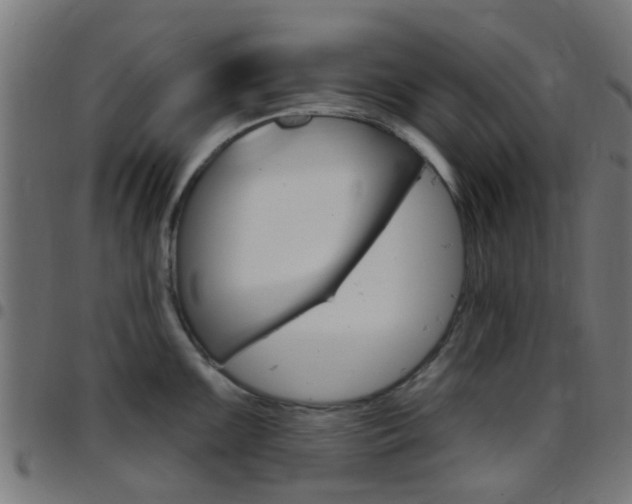 X0000097751099200803070836