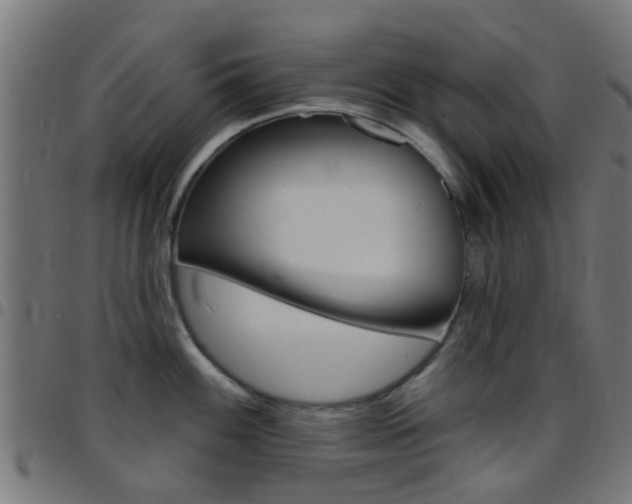 X0000097751100200803070836