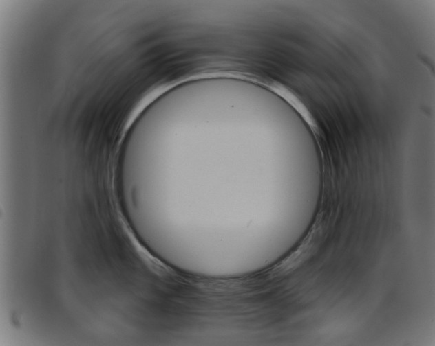 X0000097751101200803070836