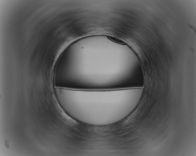 X0000097751102200803070836
