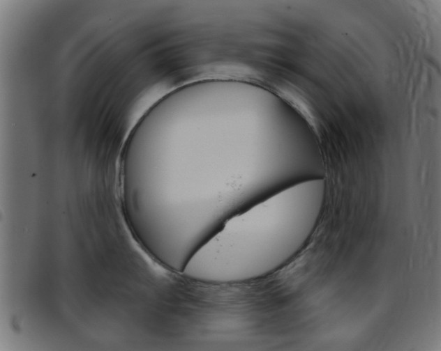 X0000097751103200803070836