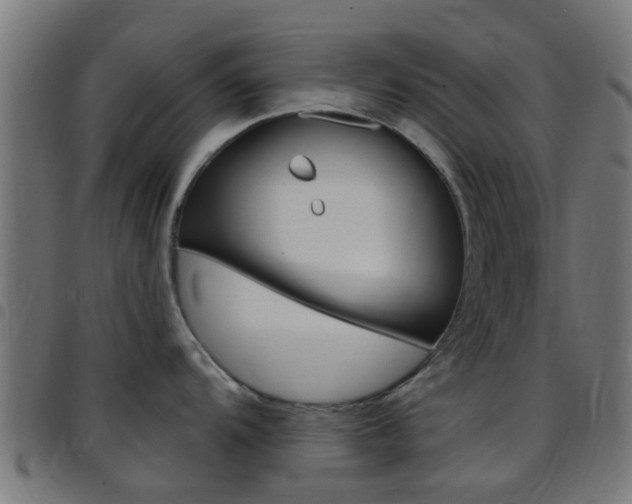 X0000097751104200803070836