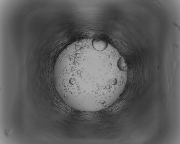X0000097751105200803070835