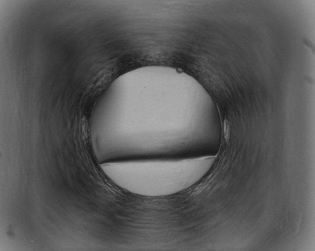 X0000097751107200803070835