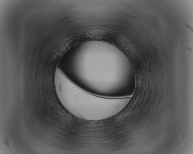 X0000097751108200803070835