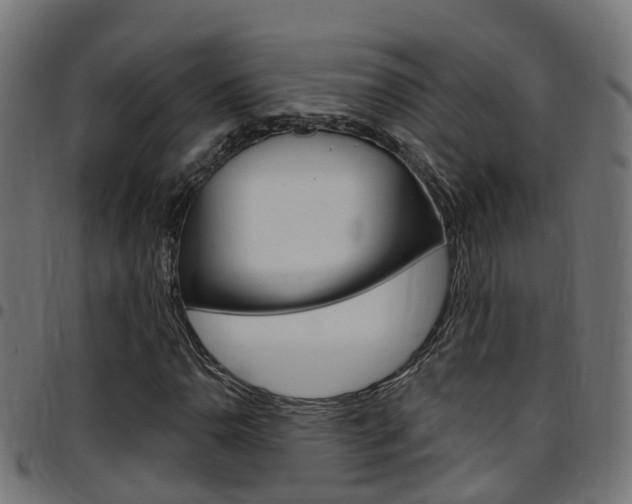 X0000097751110200803070835