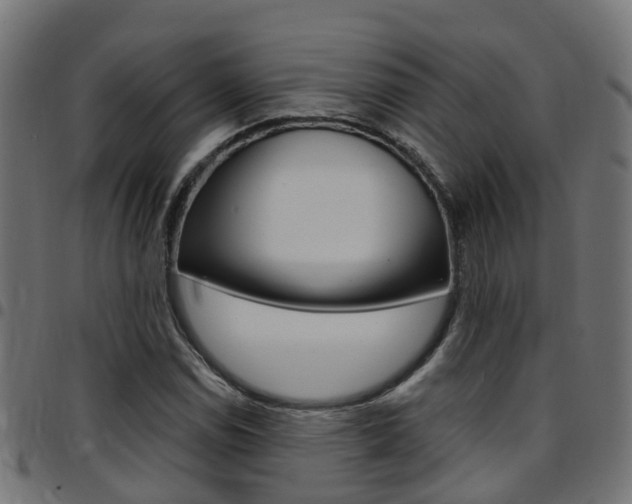 X0000097751114200803070835