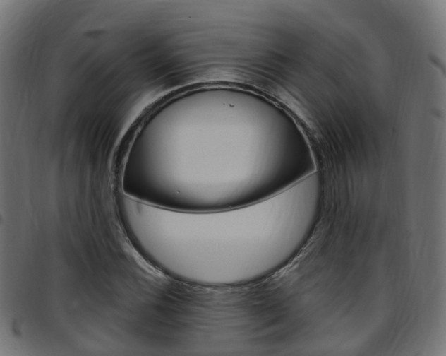 X0000097751116200803070835