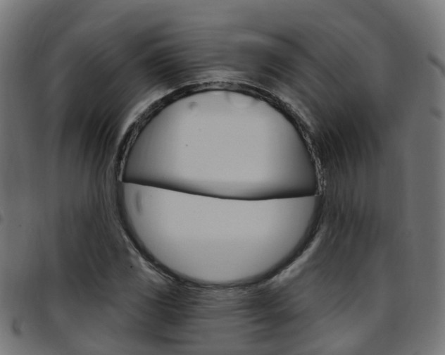 X0000097751117200803070835