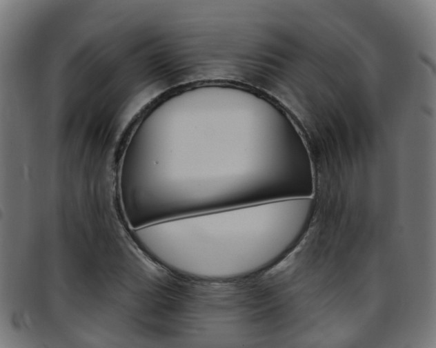 X0000097751119200803070836