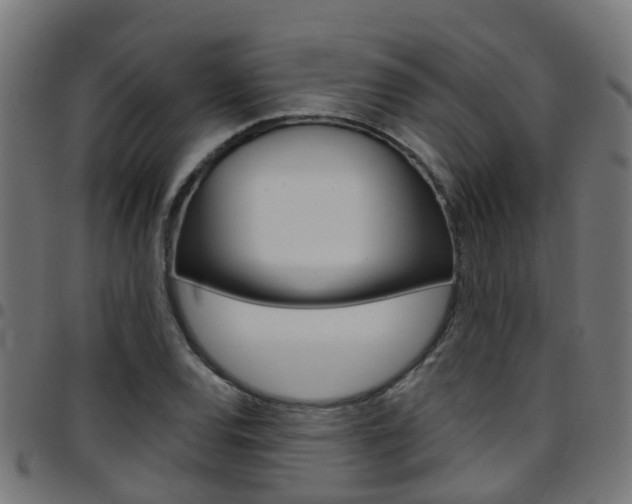 X0000097751120200803070836