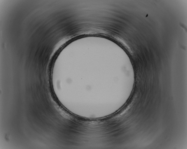X0000097751122200803070836