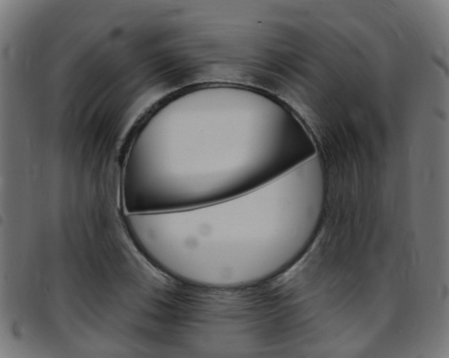 X0000097751123200803070836