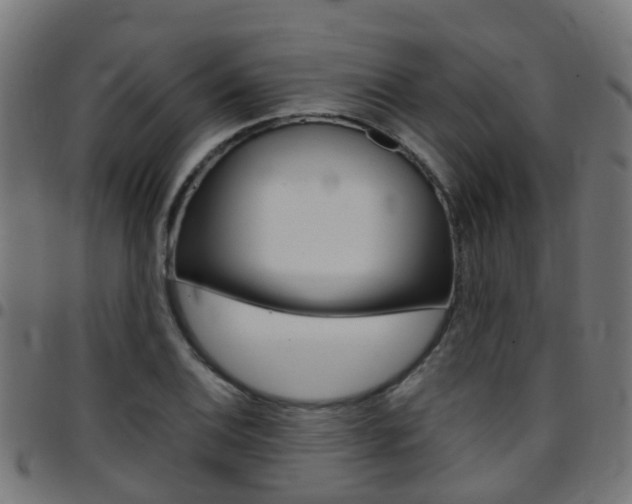 X0000097751124200803070836
