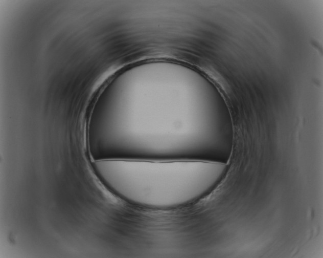 X0000097751127200803070836