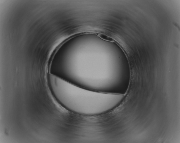 X0000097751128200803070836