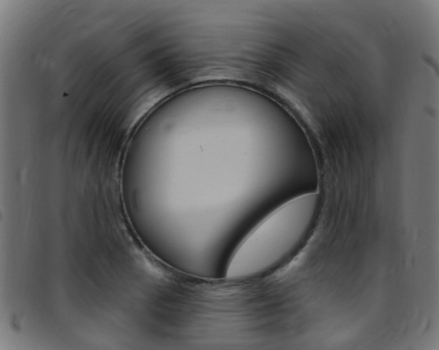 X0000097751129200803070836