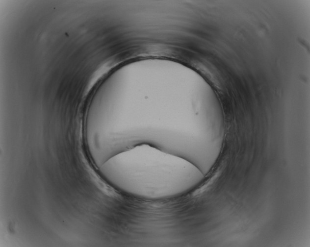 X0000097751130200803070836