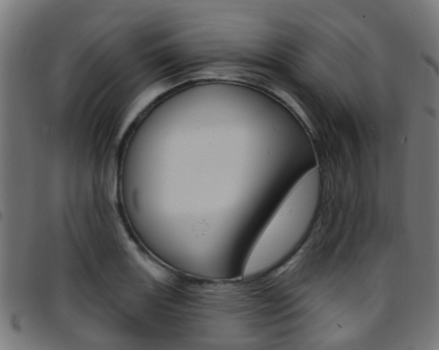 X0000097751131200803070836