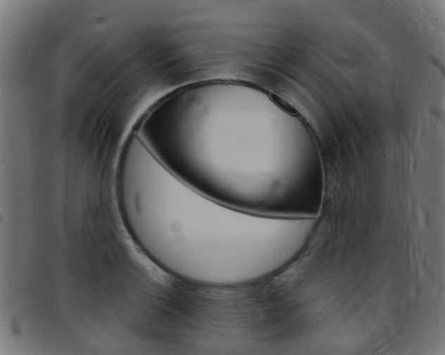 X0000097751132200803070836