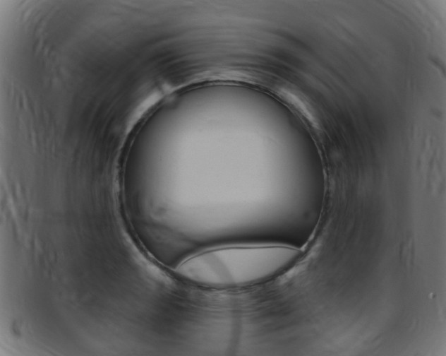 X0000097751133200803070836