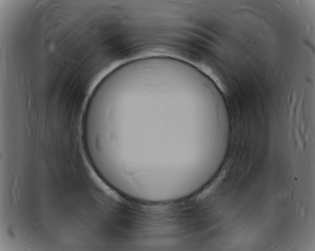 X0000097751134200803070836
