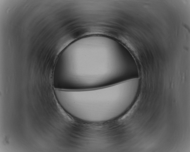 X0000097751137200803070836