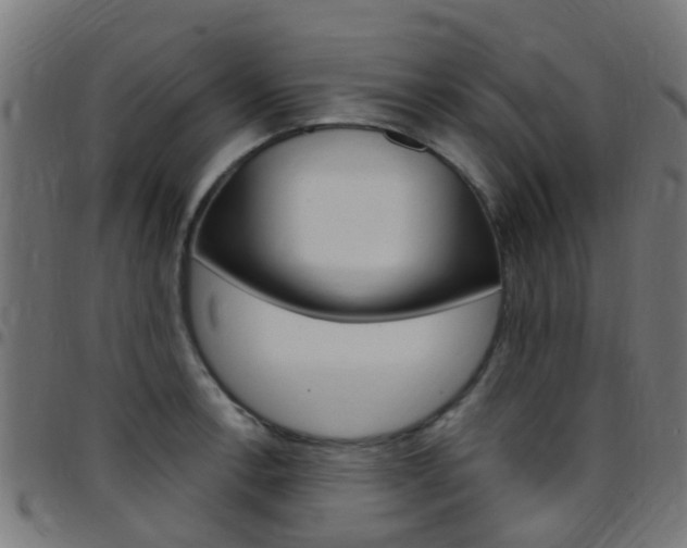 X0000097751138200803070836