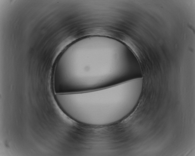 X0000097751139200803070836
