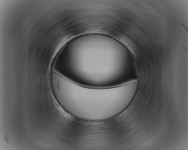 X0000097751140200803070836