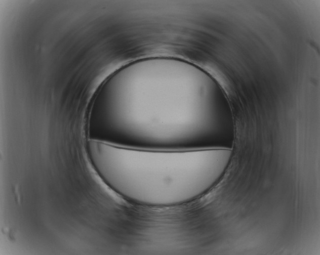 X0000097751142200803070836
