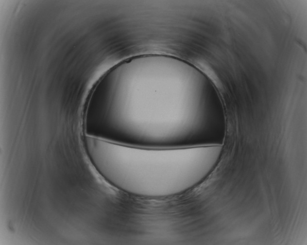 X0000097751144200803070836