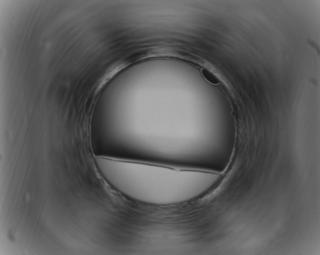 X0000097751145200803070836
