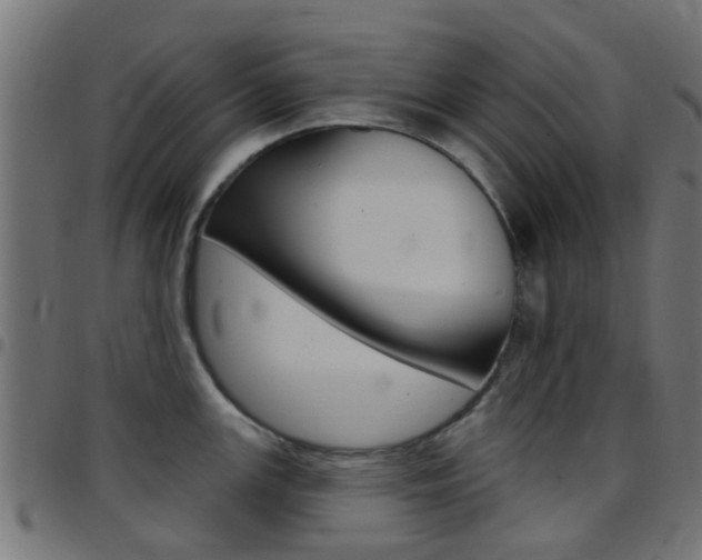 X0000097751147200803070836