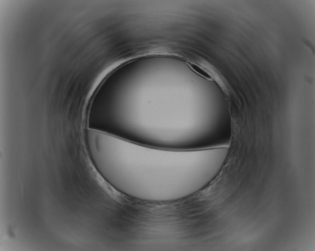 X0000097751148200803070836