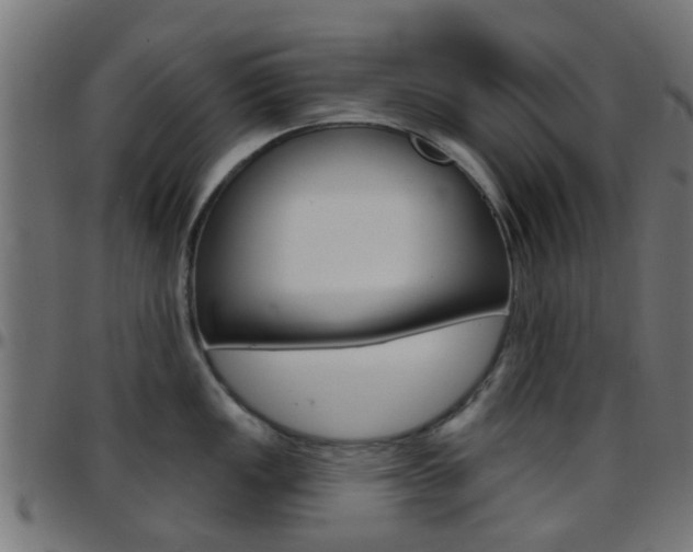 X0000097751149200803070836